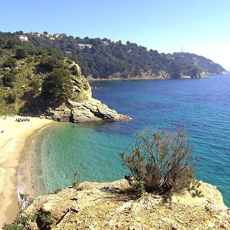 "Ti Sable" Agreable Studio Climatise, Jolie Vue Mer, Piscine A Cavalaire Sur Mer Golfe De St-Tropez Екстер'єр фото